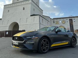серый Ford Mustang 